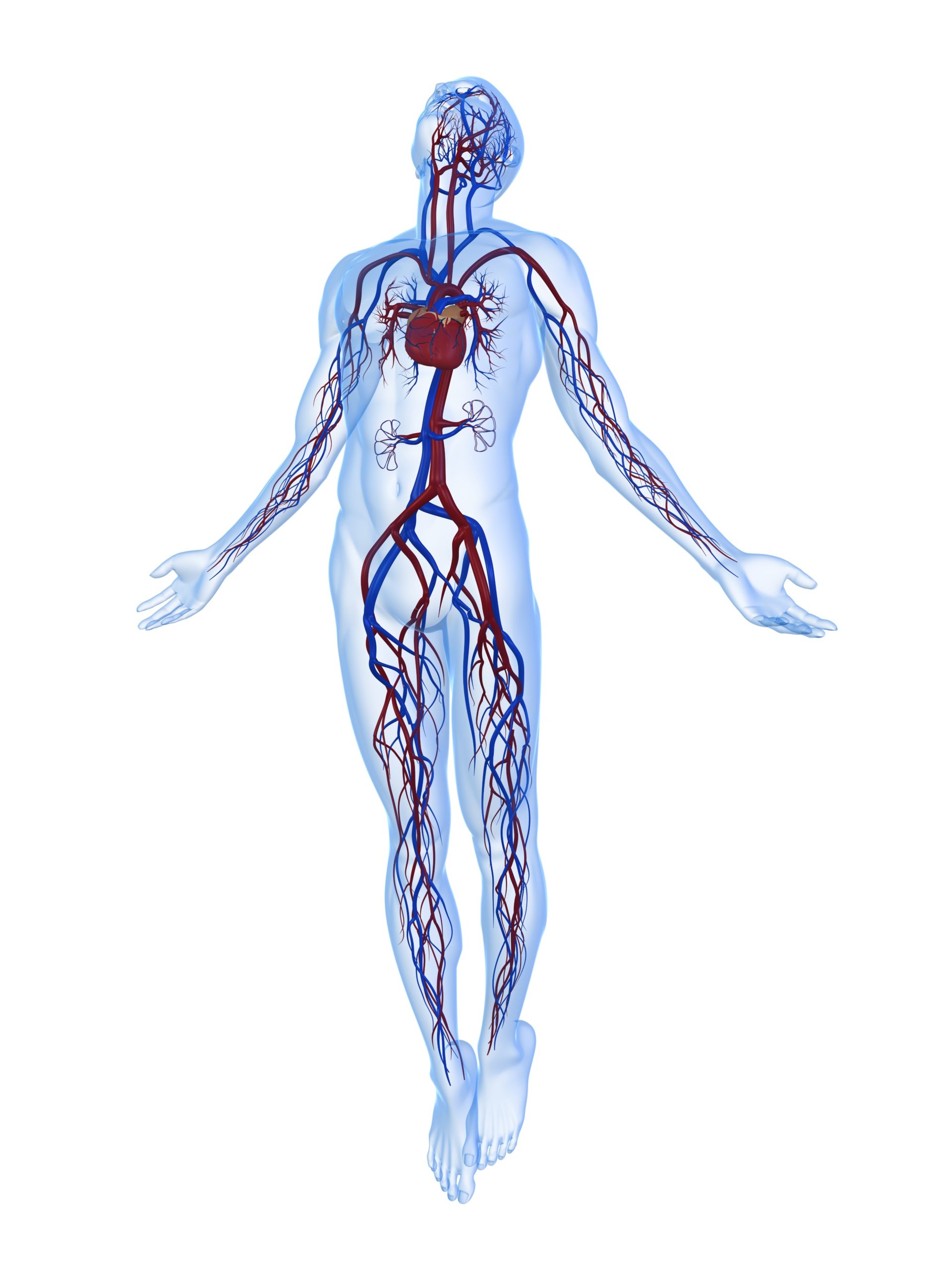 Sleep cycle with labeled night stages and phases description outline diagram. Educational scheme with biological brain and body processes vector illustration. Delta waves, deep relax and eye movement.